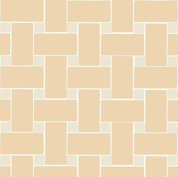 terracotta tiles glamour basketweave - rectangle + dot "W"