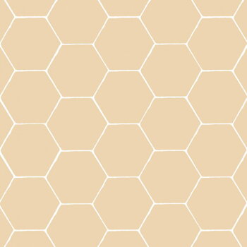 terracotta tiles glamour hexagon