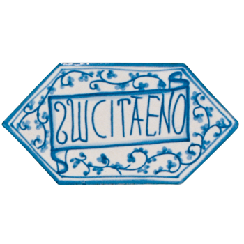 Traditional hand painted terracotta tiles antico vietri c6