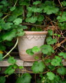 dizajnovy terakotovy kvetinac crepnik keramicky neglazovany unglazed natural terracotta flower pot