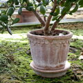dizajnovy terakotovy kvetinac crepnik keramicky neglazovany unglazed natural terracotta flower pot