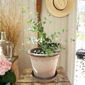 dizajnovy terakotovy kvetinac crepnik keramicky neglazovany unglazed natural terracotta flower pot