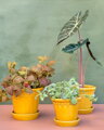 dizajnovy terakotovy kvetinac crepnik keramicky glazovany glazed terracotta flower pot