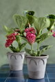 dekorativny hlineny keramicky terakotovy neglazovany kvetinac unglazed natural terracotta flower pot handmade