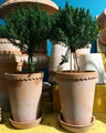 dizajnovy terakotovy crepnik kvetinac vysoky neglazovana keramika unglazed natural terracotta flower rose pot 