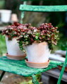 hlineny keramicky terakotovy neglazovany kvetinac unglazed natural terracotta flower pot handmade
