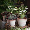 hlineny keramicky terakotovy neglazovany kvetinac crepnik dekorativny design terracotta flower pot natural unglazed
