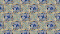 Dallia bleu (4)