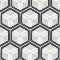 hexagonal cement tiles