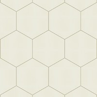 cementova dlazba hexagon