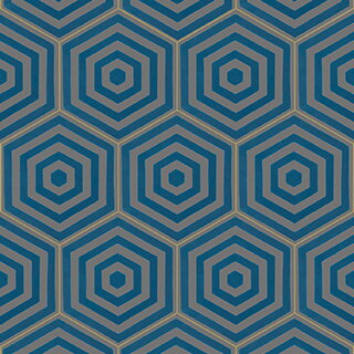 cementové dlaždice šesťuholníkové 20x23x1,6 cm vzorovana dlazba hexagon