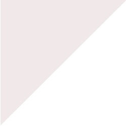 Hirondelle blanc